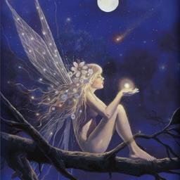 NoeluzNoe's profile picture. 