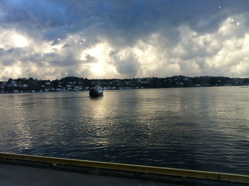 limymvictor's profile picture. 