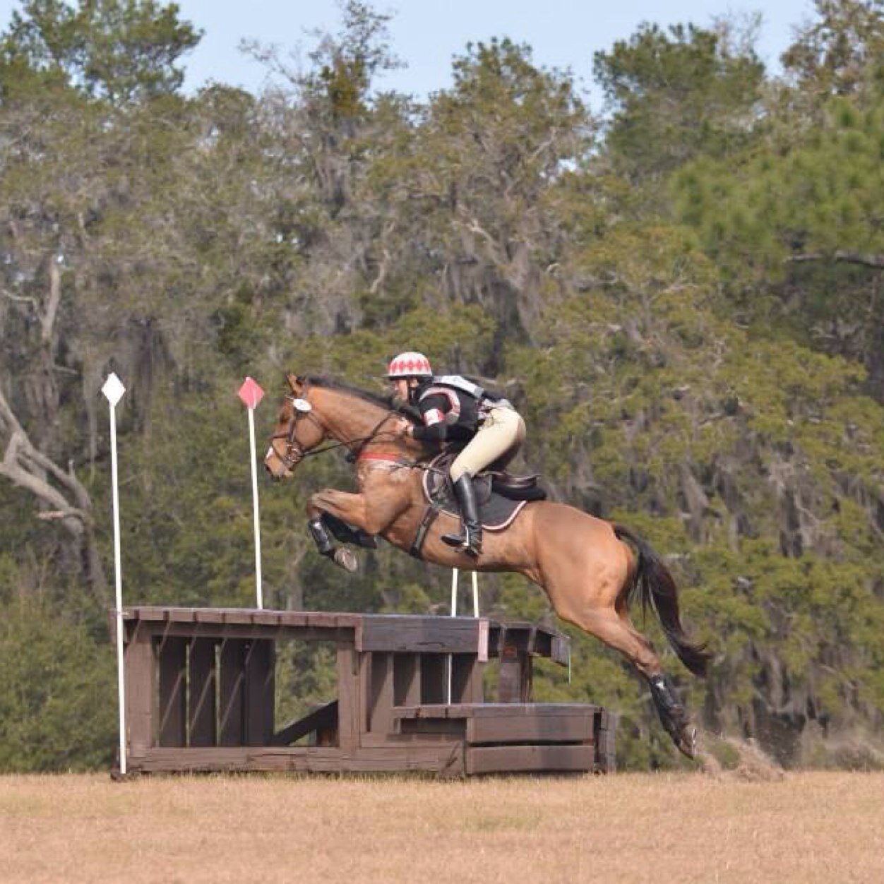 L.E. Font lovingly called Smellie is a 'once in a lifetime' horse. I'm a professional living the dream. Follow our journey. It's gonna be a good one!