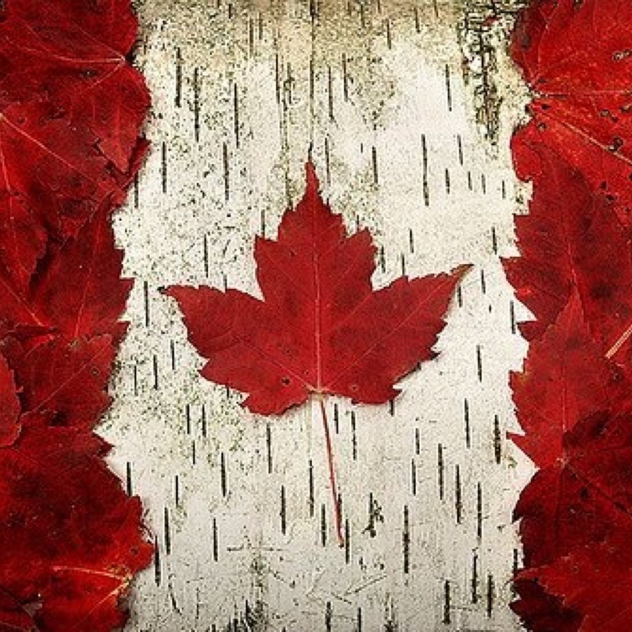 MILLRTYM87's profile picture. 