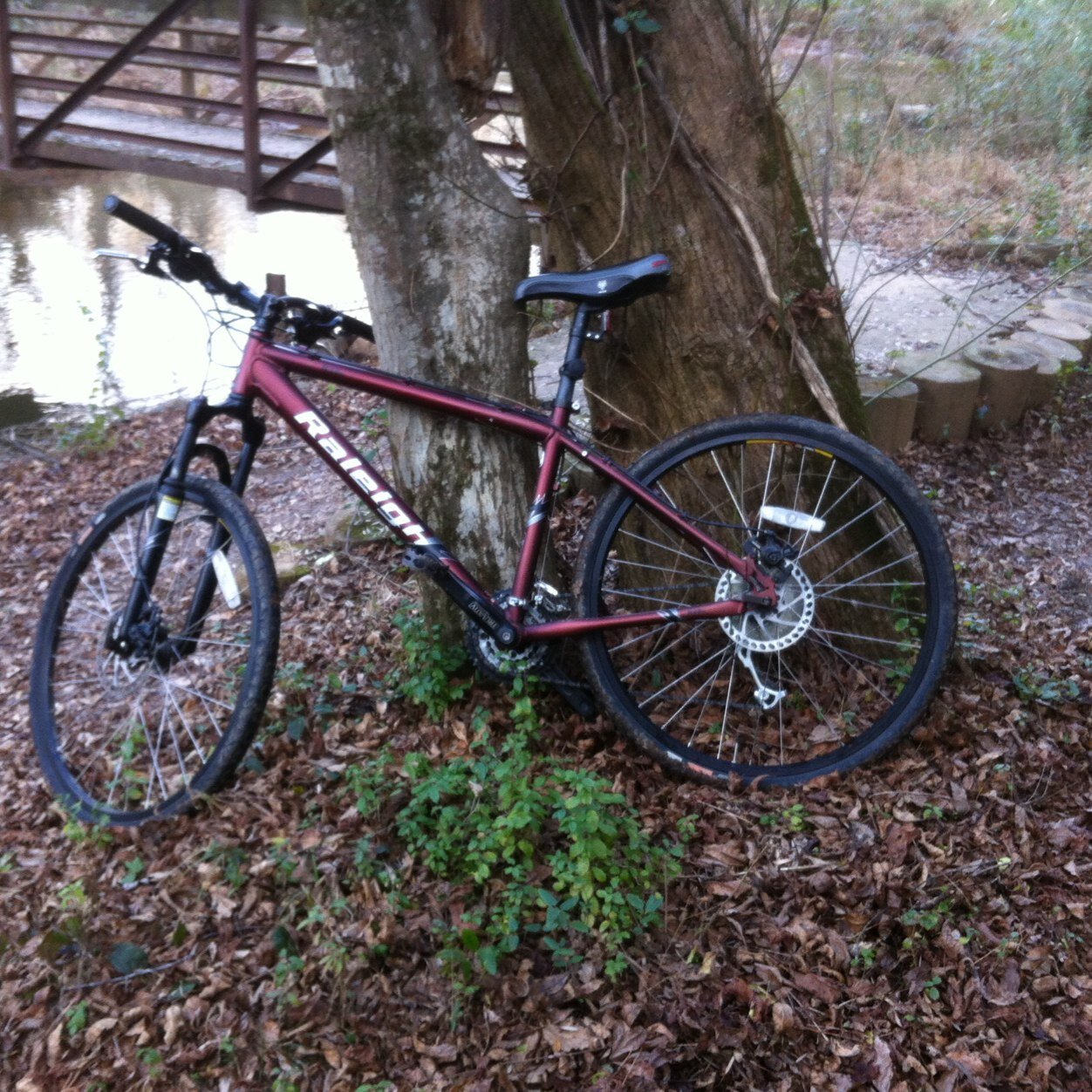 tricolouredu's profile picture. 