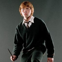Gryffindor estudiando en Hogwarts. Guardián En mis ratos libres saco de quicio a Hermione.