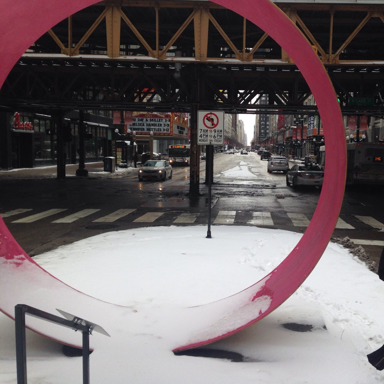 mollyfeingold's profile picture. 