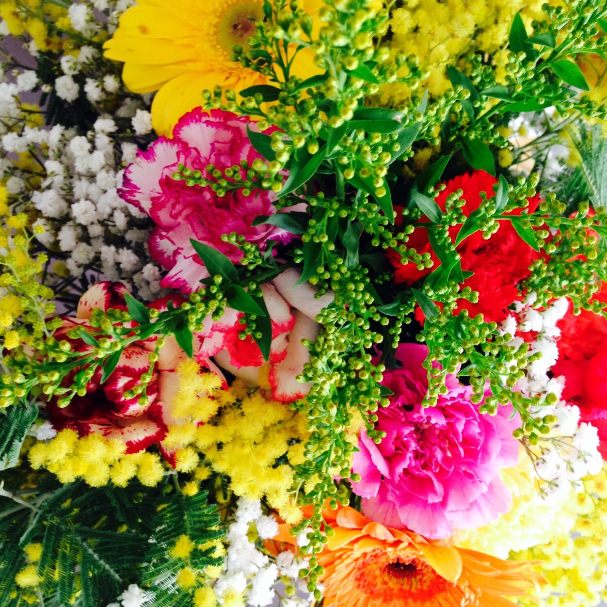 ChaTho69's profile picture. 