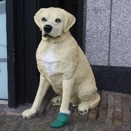 Dierenartsenpraktijk Bolsward. Broereplein 1.
Openingstijden: ma. t/m vr. van 09.00-11.30 en 13.30 - 18.00 uur.
Zaterdag van 09.00-10.00 uur.
tel: 0515-572380