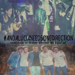 14. ¿Sonrisa? Harry styles¿Ternura? Niall horan ¿Corazón? Liam payne ¿Humor? Louis tomlinson ¿Perfección? One Direction. Directioner ♥