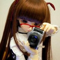 🐨き さ ら ぎ さ く ら🐨(@kisaragi_sakura) 's Twitter Profile Photo