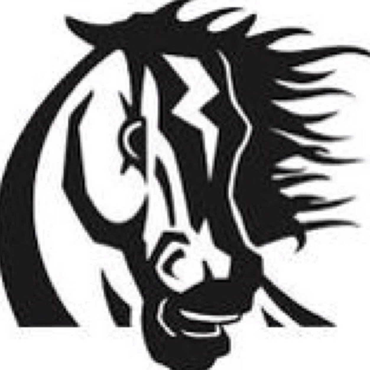 BNHSQB's profile picture. The Belvidere North Quizbowl Team; Belvidere, IL