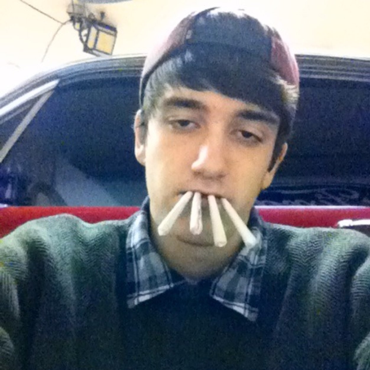 Harebear01's profile picture. 