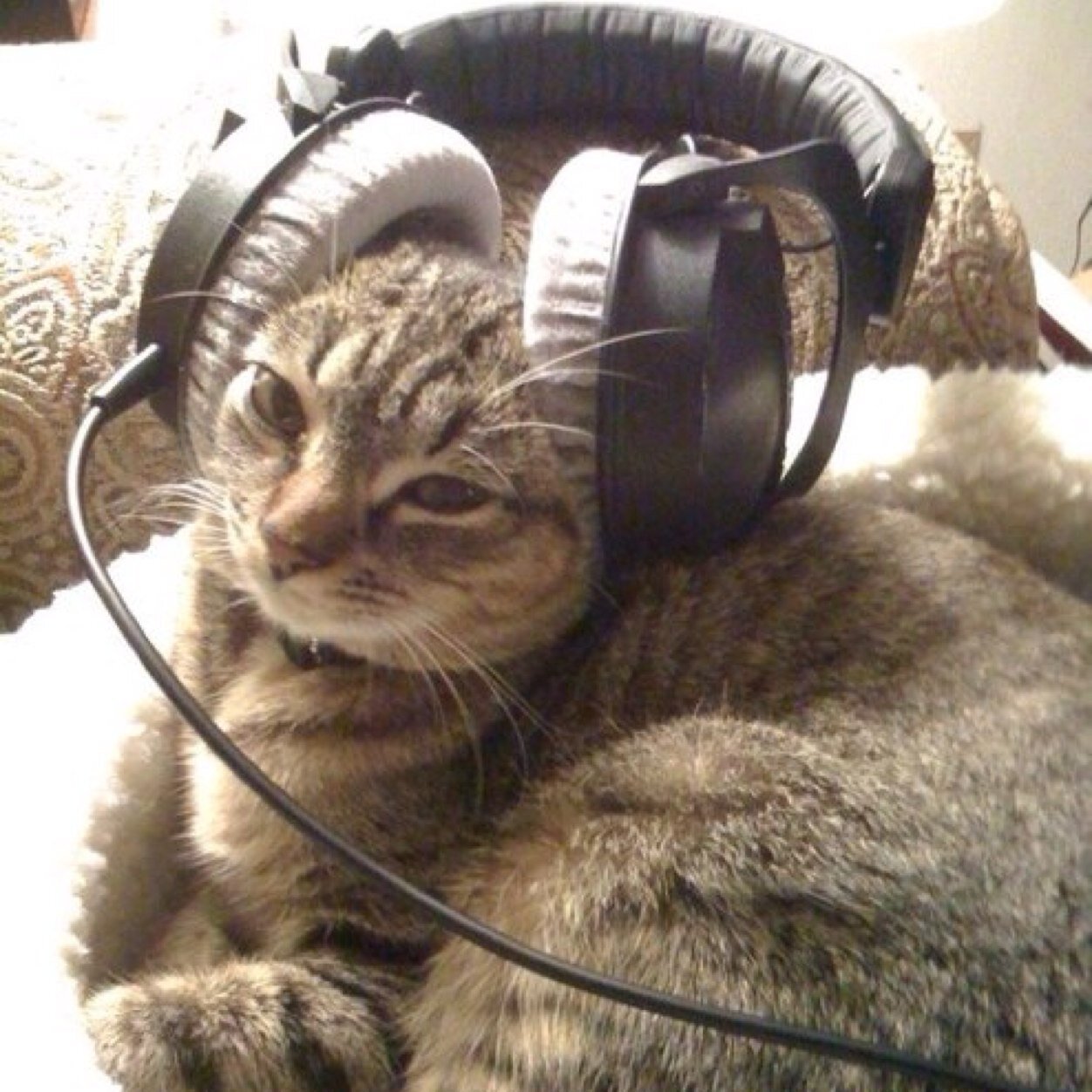 p5yc40naut's profile picture. Apostate to the Agnostic Church, now preparing to be baptized into the Christian faith. Glory be to God, our Lord and Savior, Jesus Christ.