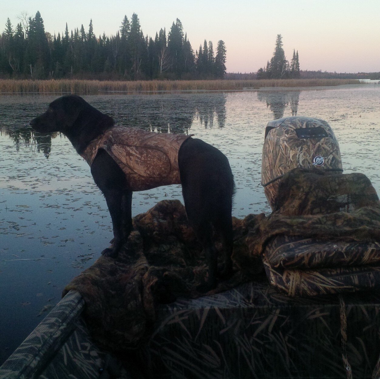 Hunting waterfowl in Ontario Canada with my black lab Avery.