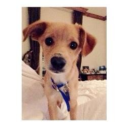 ☁Ariana is my life..im dedicated to her! I love her so much and I am waiting for her follow or to come to Greece!