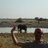 Stefano_Gri's profile image