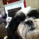 Ann Kaylor Cravens - @CravensAnn - Twitter