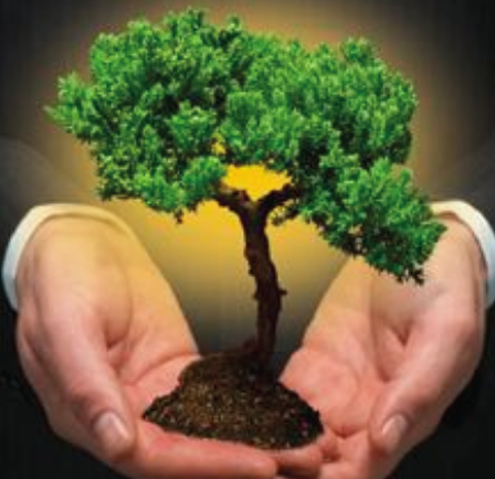 financialpc's profile picture. Financial Permaculture, Economic Re-localization, Ecosystem Investing