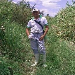 XERO323's profile picture. En busqueda de un sueño, en donde el ser humano se sienta realizado cuando mejora su entorno, cuando entrega sus talentos a cambio de una sonrisa