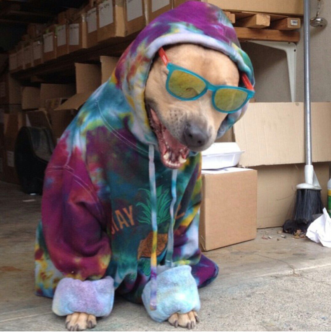 GaryAllie's profile picture. 