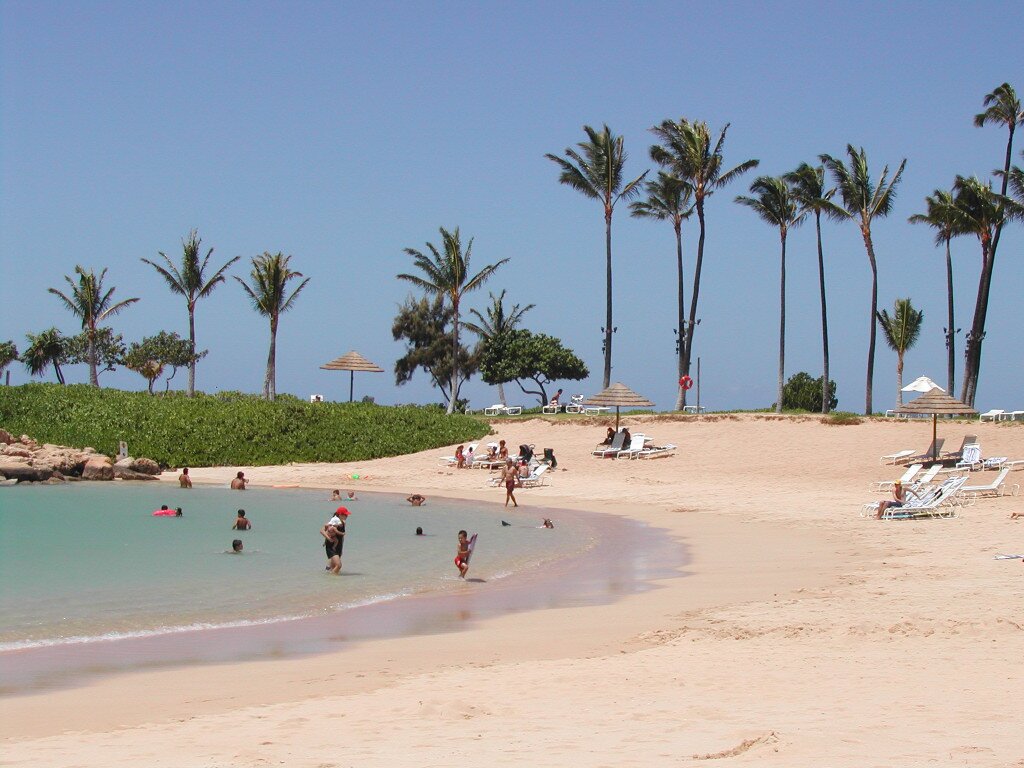 VEW80's profile picture. 