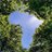 Profile Picture of Abdikadir Abdilahi (@@shareeco10) on Twitter