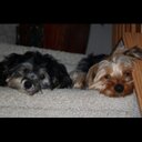 faith fredrickson - @sfreddy_ - Twitter