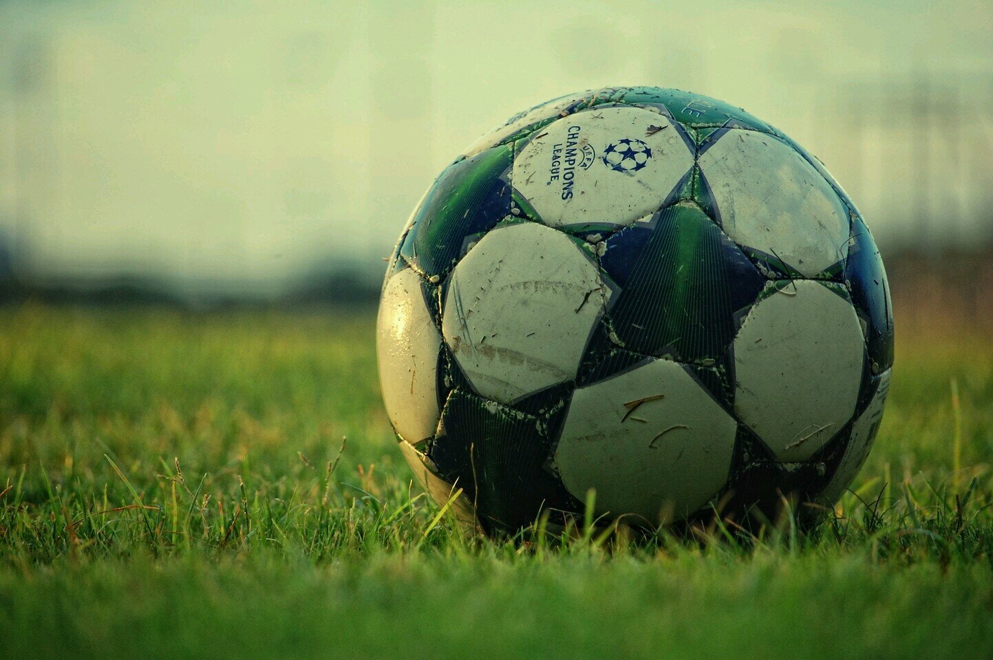Siempre futbol base