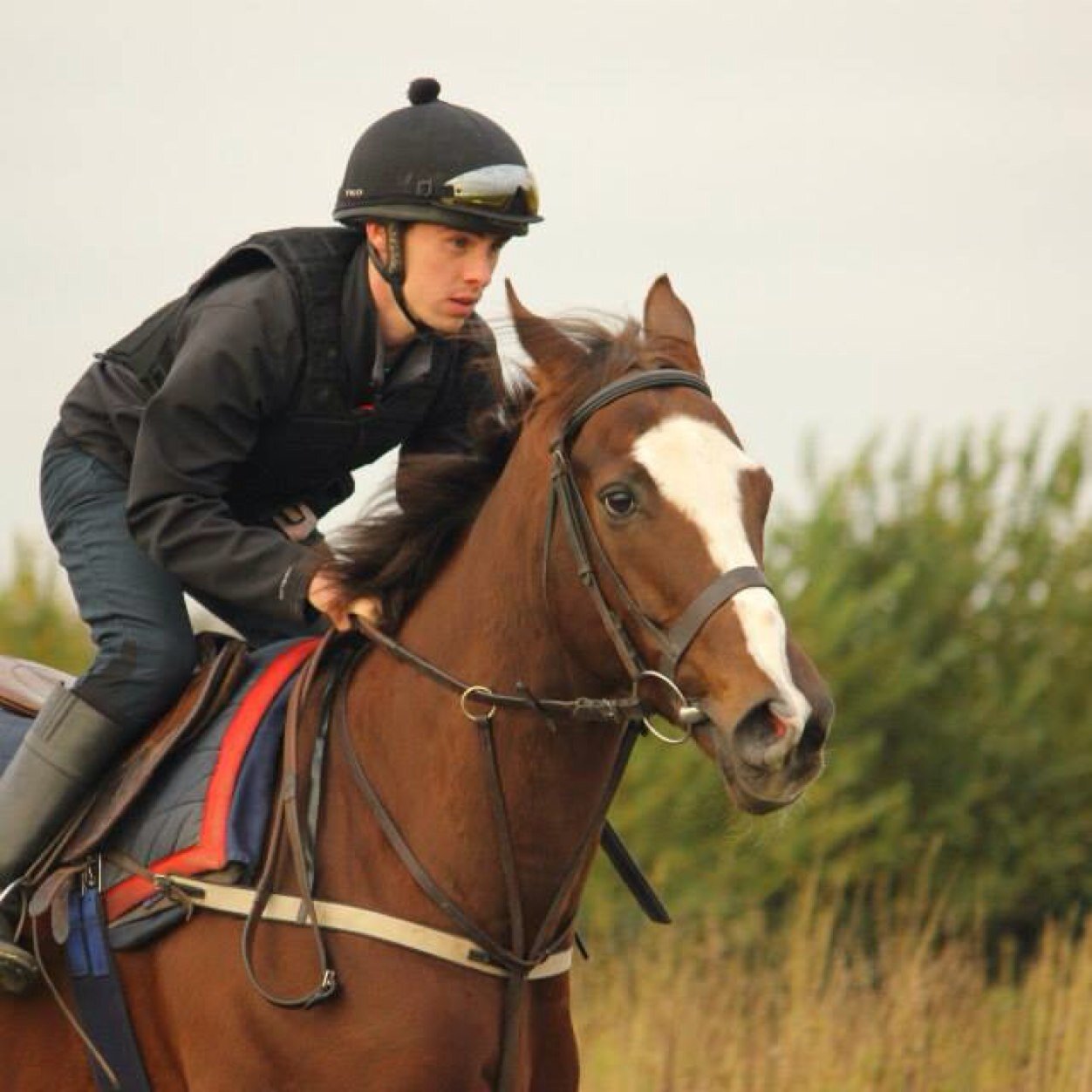 wfrost1991's profile picture. 