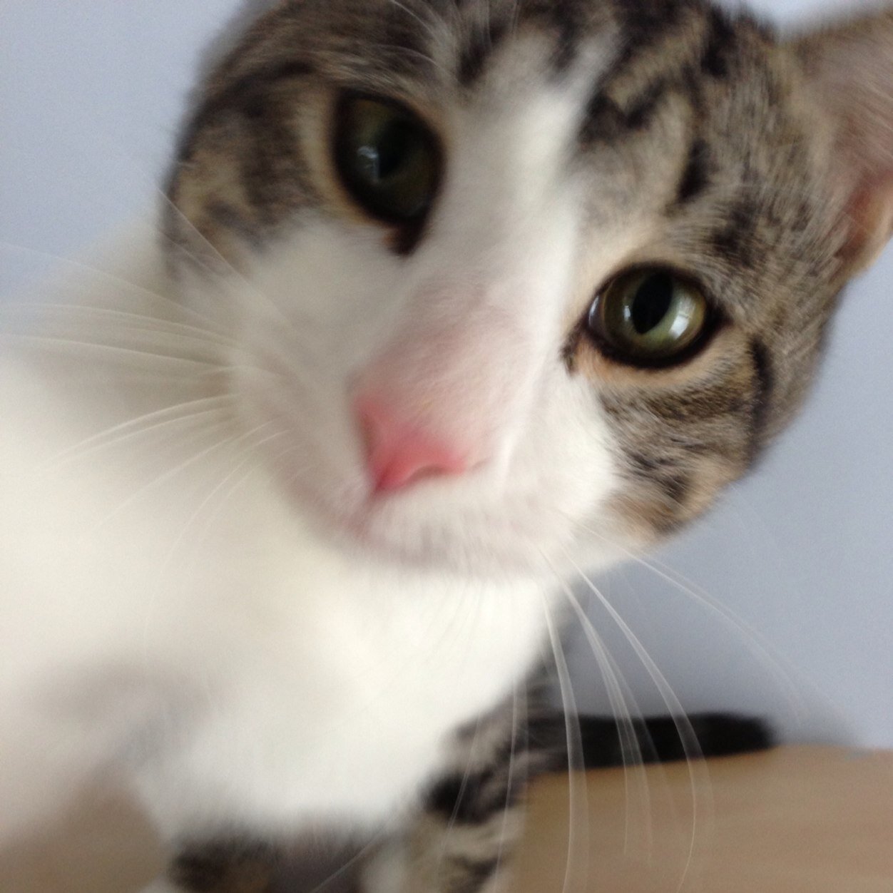 Mnjlvsp's profile picture. See you in the fog!