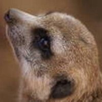 Casandra  Hugeni (@lmqffckvl) 's Twitter Profile