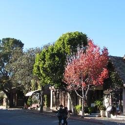 Fall in Carmel, CA.