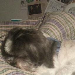 clay_dv's profile picture. he/him