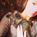 Isabel Steen - @isabel_steen - Twitter