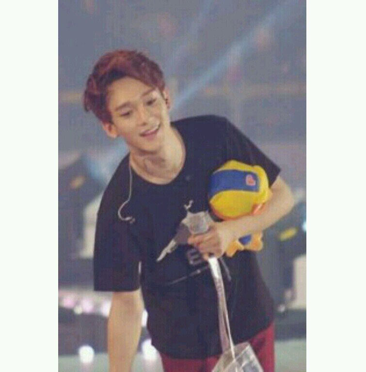 kimjxngdei Profile Picture