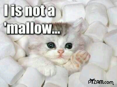 Posting lolz facts and more!
