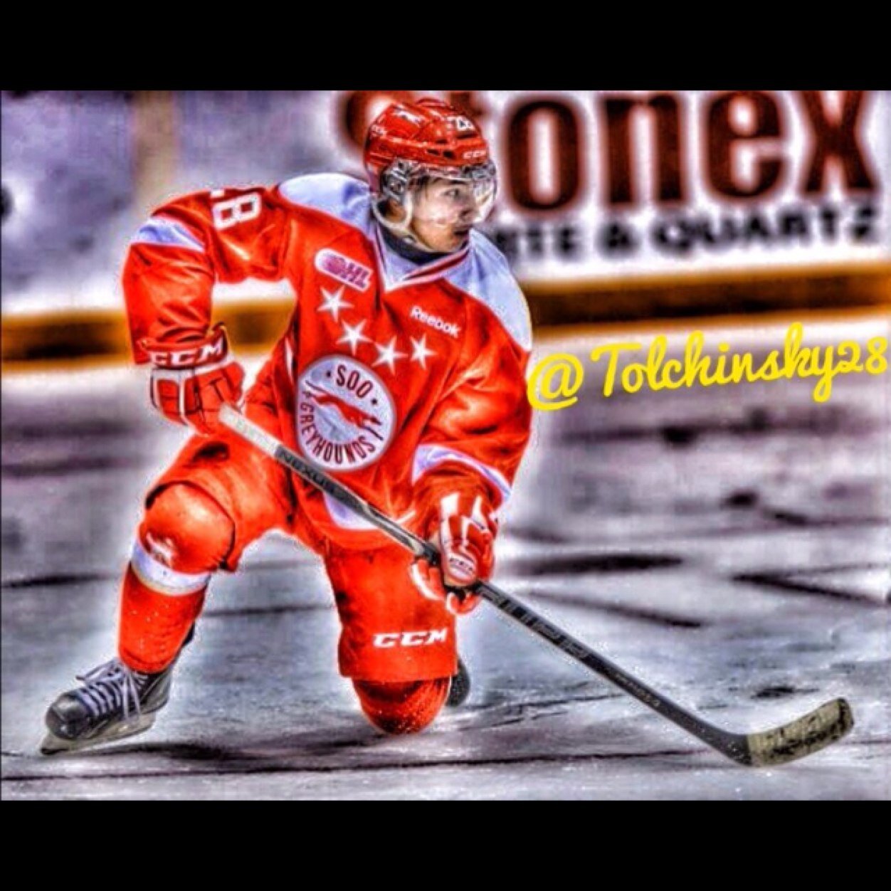 Tolchinsky28 Profile Picture