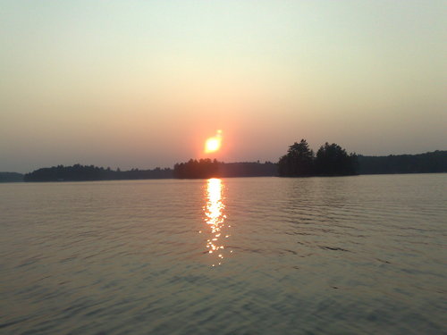 ela_thana's profile picture. 