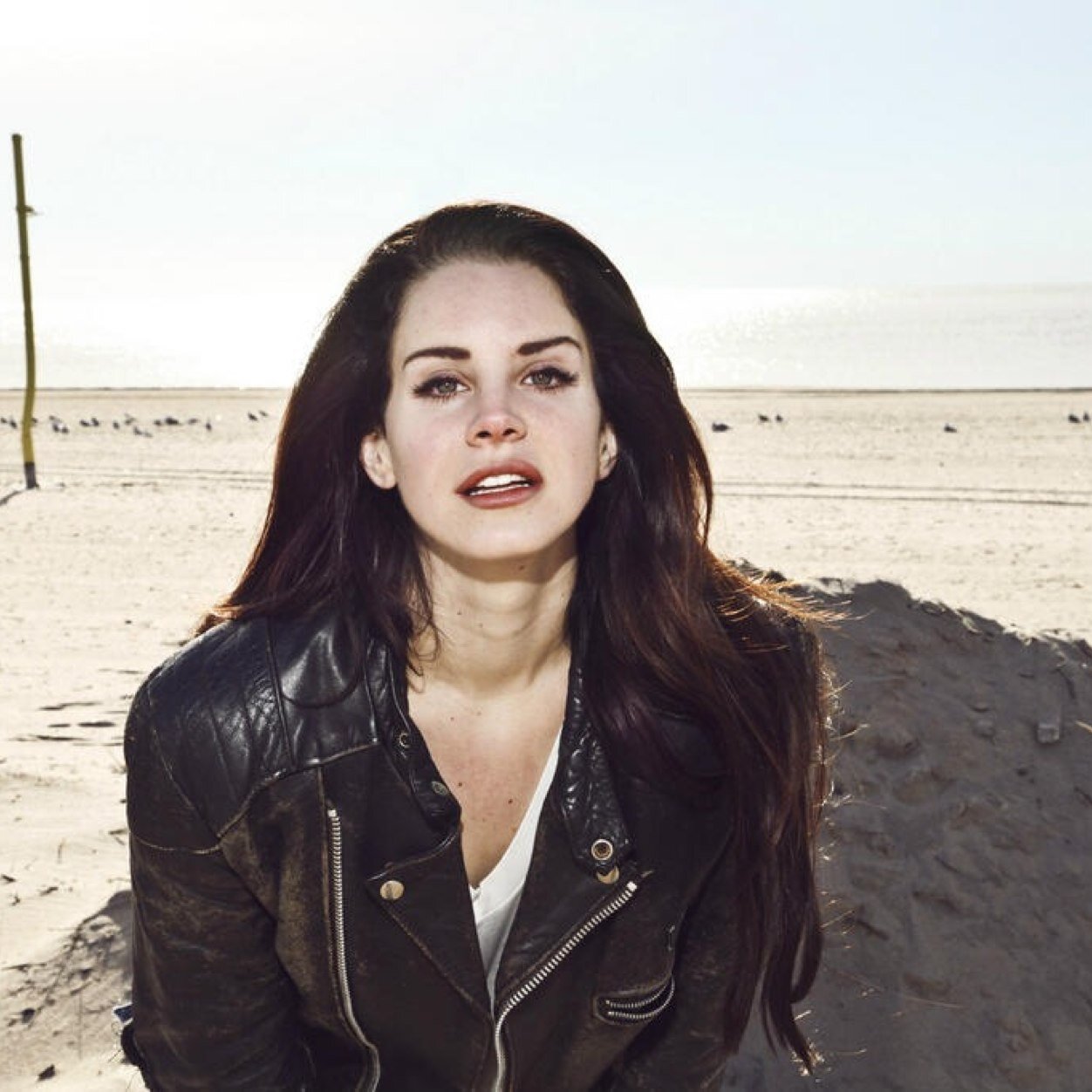 AndreaTaco's profile picture. FREE FOLLOW!!!!! FOLLOW MY MAIN ACCOUNT ✨✨✨✨✨✨✨✨