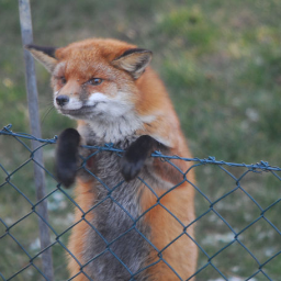 DaniFou's profile picture. architecture - nature - art