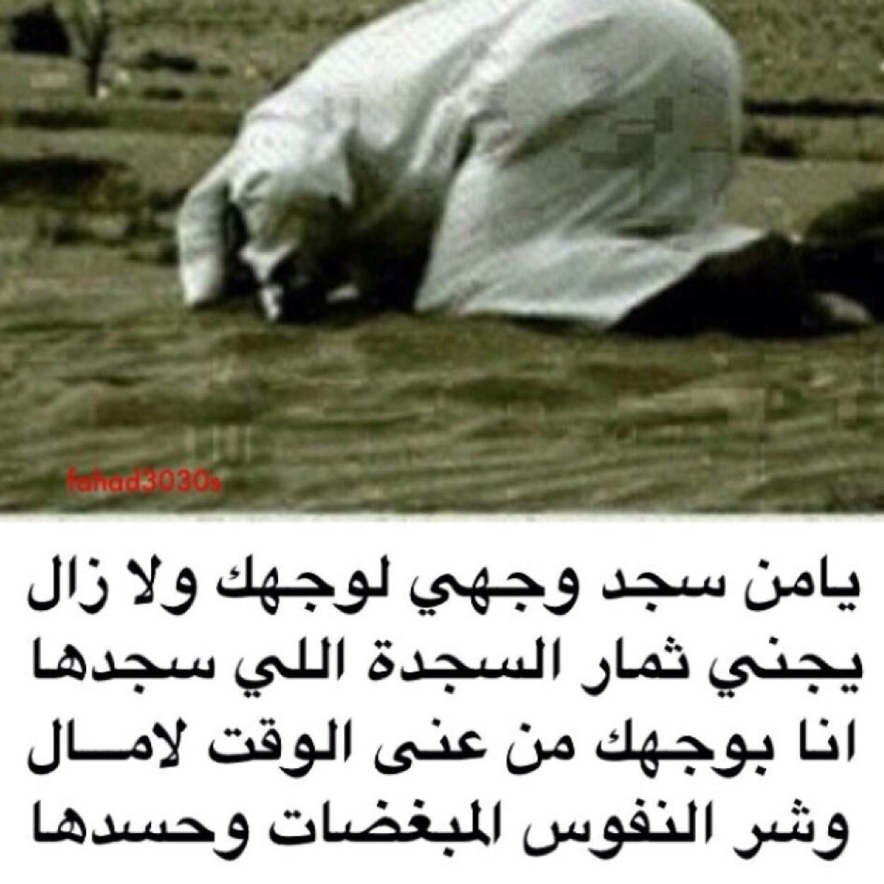 سبحان الله وبحمده
     سبحان الله العـظيــم

•