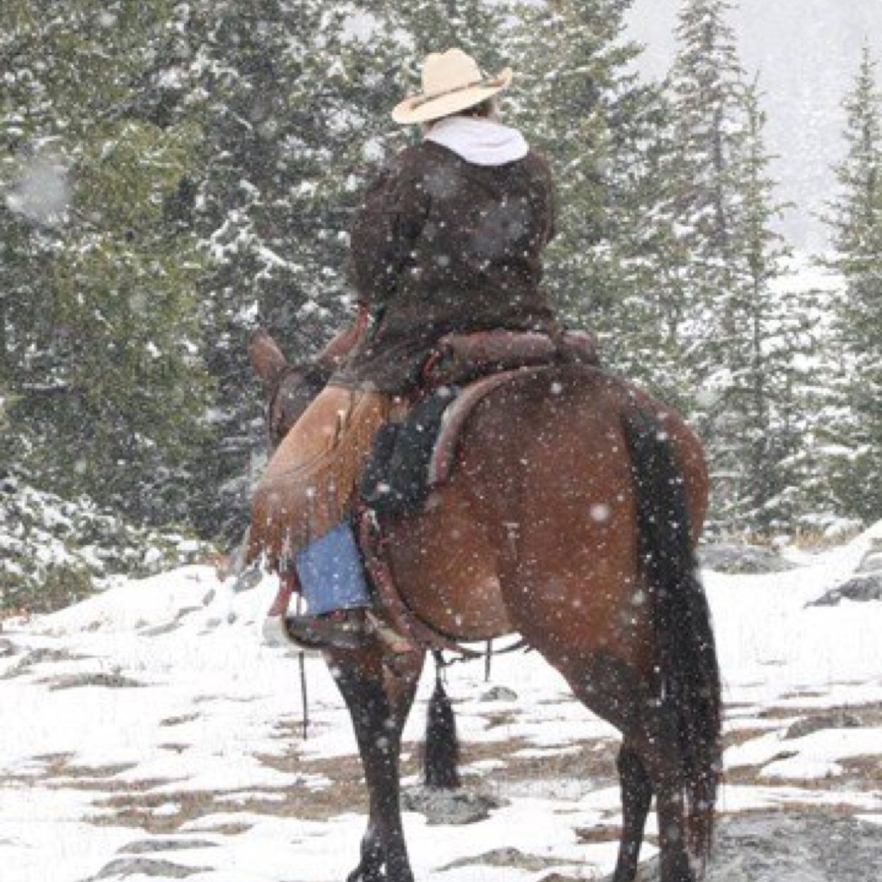 scross0315's profile picture. 