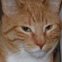 Walter Leger✦ - @WallyLeger - Twitter