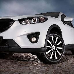 BTCcollecter's profile picture. 