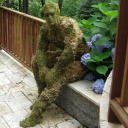 The man primarily made of moss. You may remember me from such podcasts as the @fantasyrugdraft podcast.