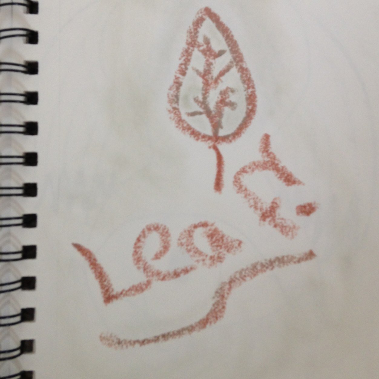 box_nat's profile picture. 