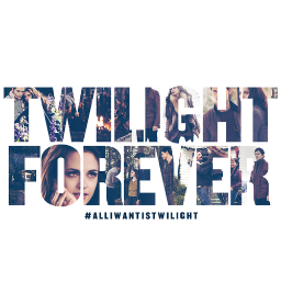 The saga twilight forever