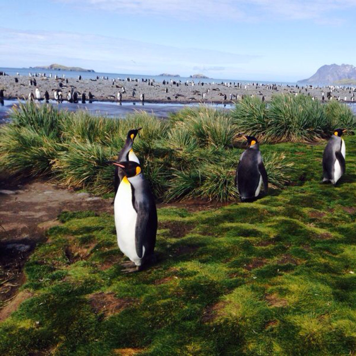 ataliakatz's profile picture. photografer