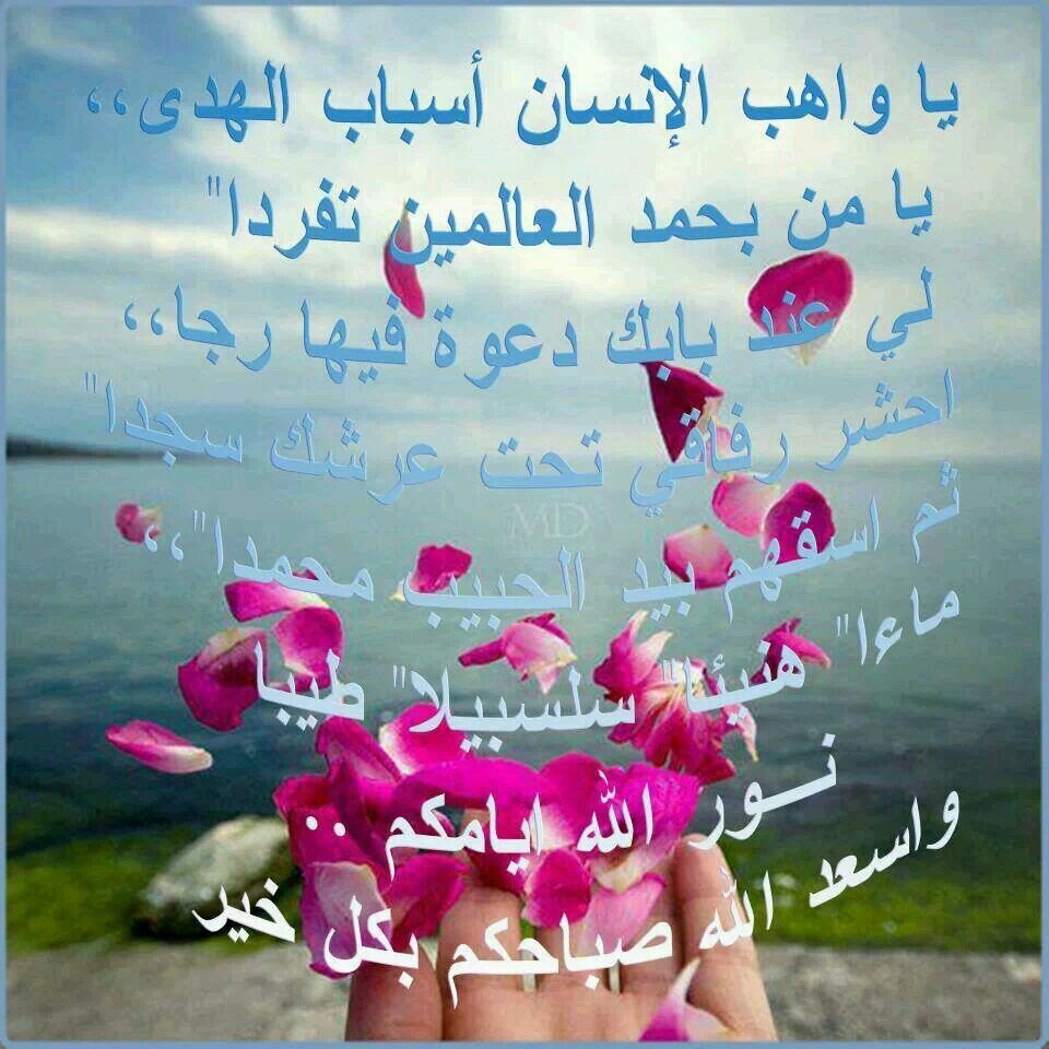 Nihla1122's profile picture. 