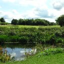 Danielle DiPietro - @Danielle_Rural - Twitter