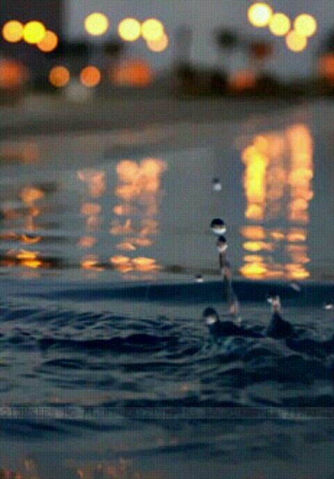 SkyYou2's profile picture. 