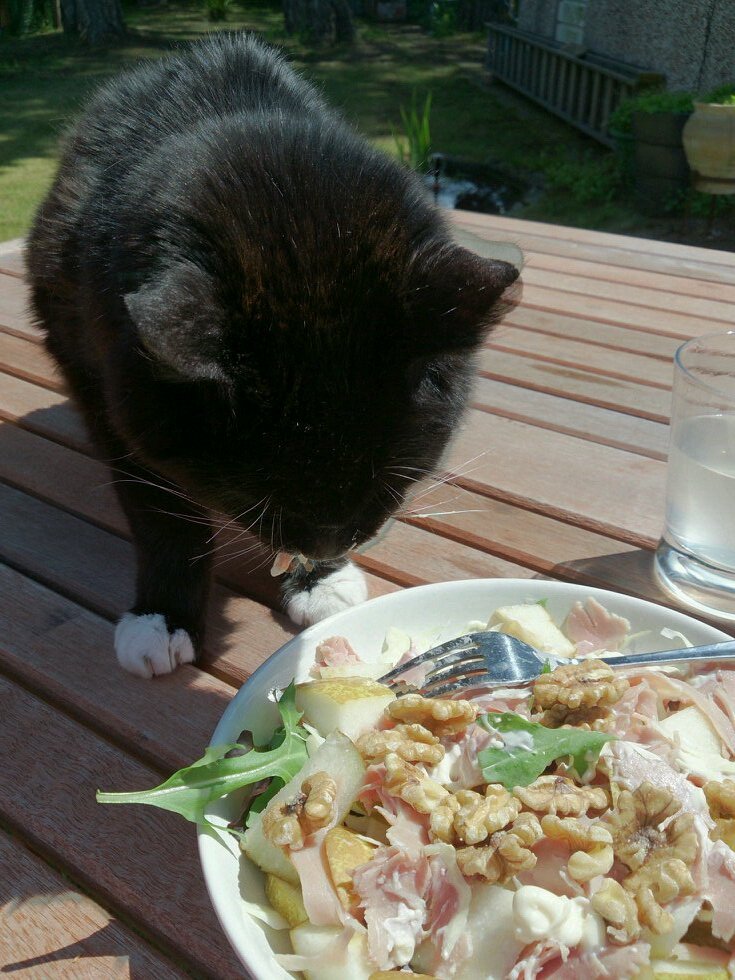 jude106freeman's profile picture. 