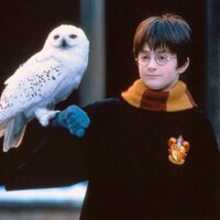 hedwig (@hedwig_p) 's Twitter Profile